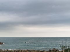 -广东惠东海龟国家级自然保护区
