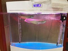 -东楠湾足浴·24H(金平路店)