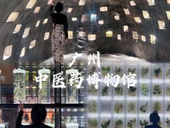 -广东中医药博物馆