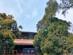 -洛阳白马寺