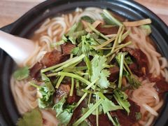 -合肥野生动物园