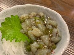 芥末章鱼-东京屋(武定路店)