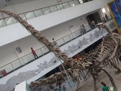 -中国地质大学逸夫博物馆