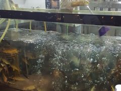 -肥鱼屯活鱼锅(惠工街店)