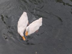 -水磨沟公园