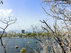 -中建雁栖湖景酒店-餐厅