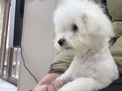 -瑞鹏宠物医院·超声·骨科·奇麟分院(蜀都万达店)