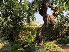 -Chom Cafe and Restaurant