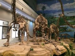 -自贡恐龙博物馆