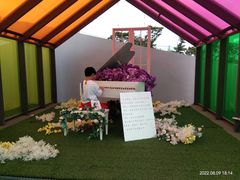 -荷兰花海