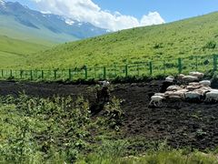 -新疆那拉提国家旅游度假区