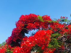 -三妹小龙虾·黄油蟹(华侨城总店)