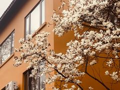 -龙华寺