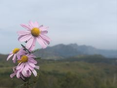 -灵山