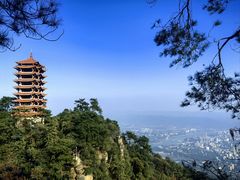 -缙云山景区