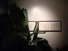 -纽扣NEWKO