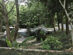 -东明山森林公园