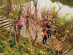 -婺源梦里老家大型山水实景演出