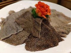 -海底捞火锅(南山京基百纳店)