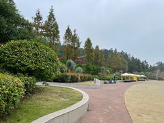 -南京银杏湖乐园