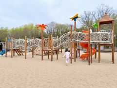 -大兴滨河森林公园