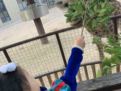 -灵玲国际马戏城