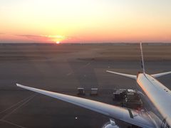 -达拉斯 沃斯堡国际机场