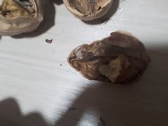 -世纪联华超市(浦电路店)