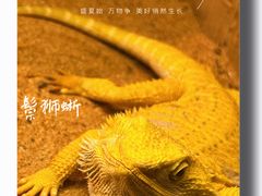 -上海大自然野生昆虫馆