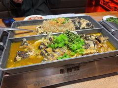 青花椒鲜活鮰鱼-鱼酷活鱼烤鱼(静安大融城店)