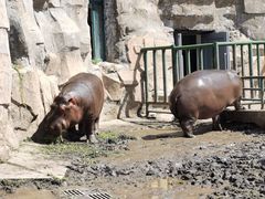 -哈尔滨北方森林动物园