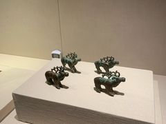 -张掖市博物馆