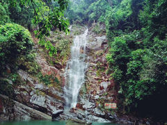 -鼎湖山风景区
