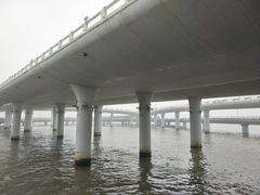 -演武大桥观景平台