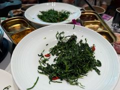 红果枸杞苗-清真·宁夏印象·盐池滩羊肉体验店(江宁路店)