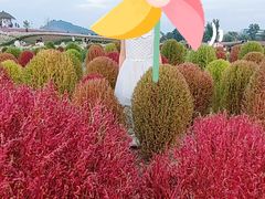 -径山花海