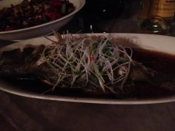 清蒸大桂鱼-证大美爵酒店·一站式婚宴宴会厅