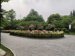 -堤角公园