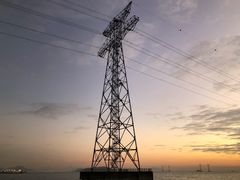 -宝安西湾红树林湿地公园