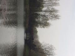 溱湖国家湿地公园-溱湖国家湿地公园