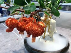 -奔跑吧陕菜·盛世长安(民乐园万达店)