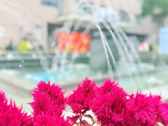 -复旦大学附属肿瘤医院(徐汇院区)