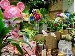 -谷咖啡·鲜花绿植花园餐厅