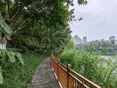 -重庆彩云湖湿地公园
