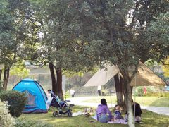 -白鹭湾湿地公园