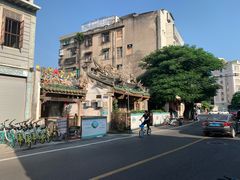 -老妈宫粽球