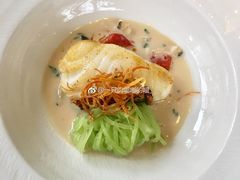 香煎黑鳕鱼-蝶舍·MAISON PAPILLON