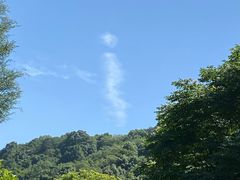 -桃花岭景区