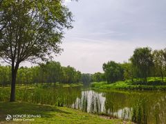-东郊湿地公园