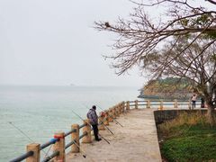 -南沙十九涌渔人码头-南门